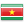 Suriname flag